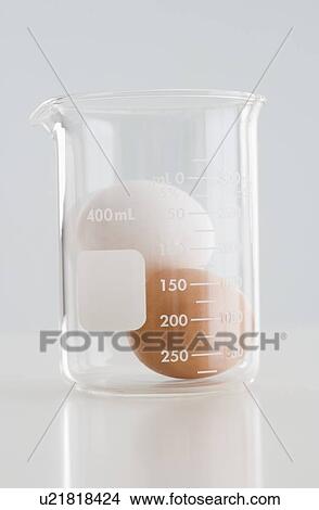 Picture - Eggs in glass beaker. Fotosearch