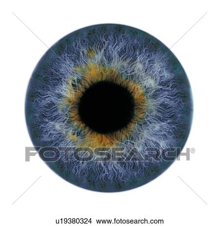 Extreme closeup of a human eye View Large Photo Image Picture - Extreme closeup of a human eye. Fotosearch