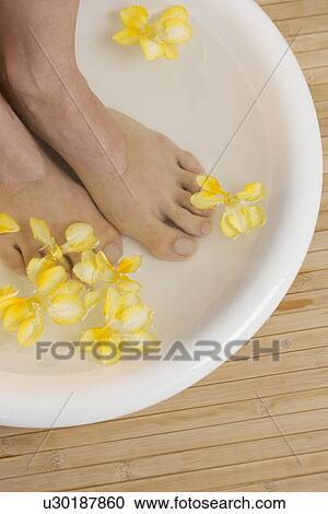 Feet in footbath with flowers View Large Photo Image Stock Image - Feet in footbath with flowers. Fotosearch