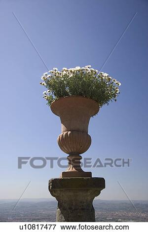Stock Photo - Flower pot Florence Italy. Fotosearch