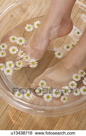 Stock Photograph - Footbath with flowers. Fotosearch