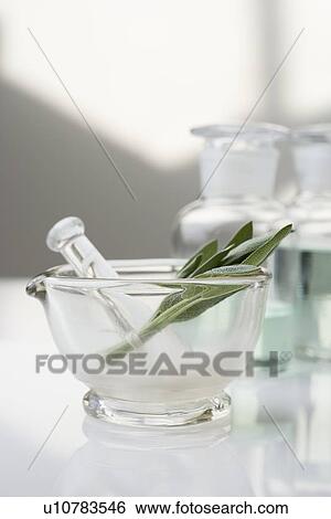 Glass mortar and pestle with herbs View Large Photo Image Stock Photograph - Glass mortar and pestle with herbs. Fotosearch