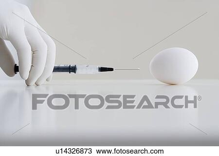 Gloved hand giving injection to egg View Large Photo Image Stock Image - Gloved hand giving injection to egg. Fotosearch