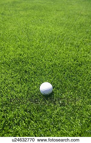 Stock Image - Golf ball on green grass outdoors. Fotosearch