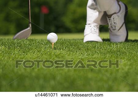 Golfer preparing to tee off View Large Photo Image Stock Image - Golfer preparing to tee off. Fotosearch
