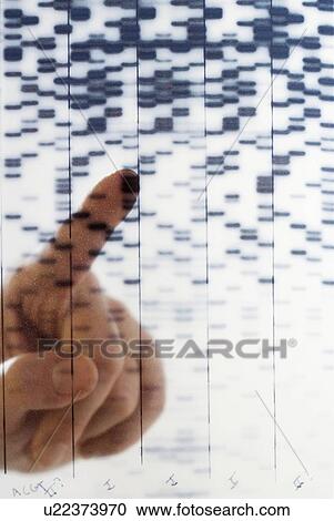Stock Image - Hand pointing at DNA transparency. Fotosearch
