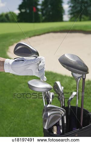 Stock Image - Hand selecting golf club with course in distance. Fotosearch