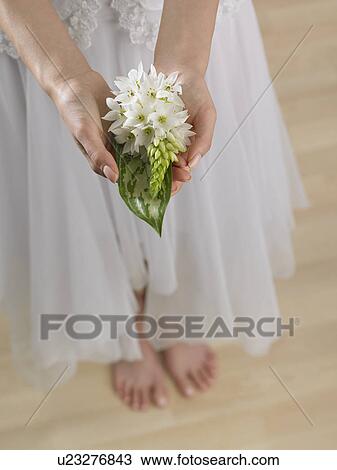 Stock Image - High angle view of woman holding flowers. Fotosearch