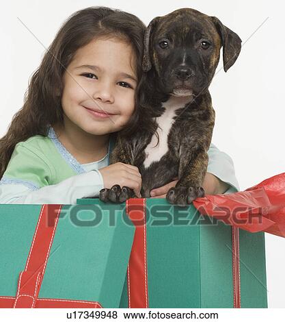 Stock Photo - Hispanic girl with puppy in gift box. Fotosearch