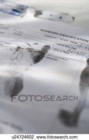 Infant's footprints on birth certificate View Large Photo Image Stock Image - Infant's footprints on birth certificate. Fotosearch