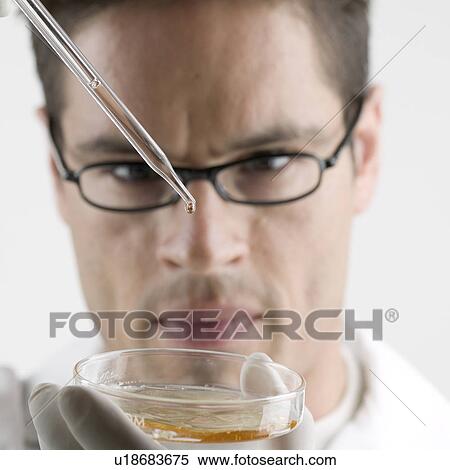 Stock Photography - Lab technician with Petri dish. Fotosearch