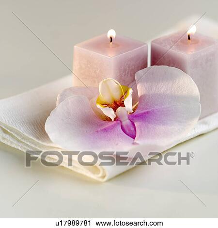 Lighted candles with a colorful orchid View Large Photo Image Stock Image - Lighted candles with a colorful orchid. Fotosearch