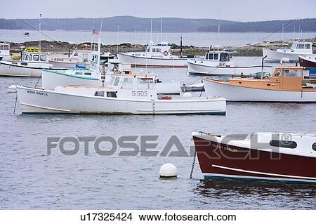 Picture - Lobster boats in a Maine harbor. Fotosearch