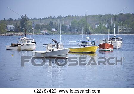 Lobster boats in a Maine harbor View Large Photo Image Stock Image - Lobster boats in a Maine harbor. Fotosearch