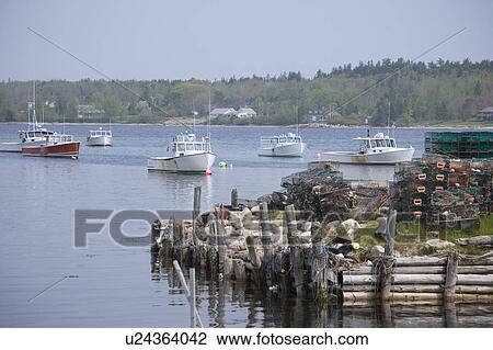 Lobster boats moored along the Maine coast View Large Photo Image Stock Image - Lobster boats moored along the Maine coast. Fotosearch