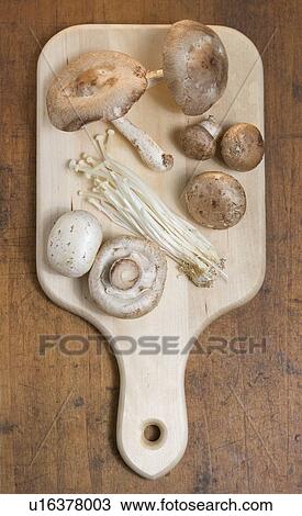 Mushrooms on cutting board View Large Photo Image Stock Image - Mushrooms on cutting board. Fotosearch