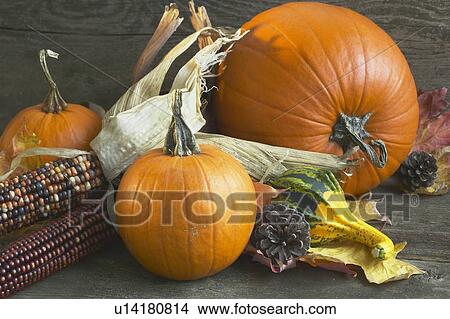 Nature's autumn harvest View Large Photo Image Picture - Nature's autumn harvest. Fotosearch