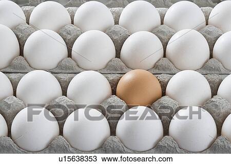 Stock Image - One brown egg among many white eggs. Fotosearch
