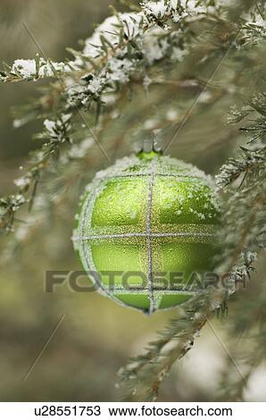One Christmas ornament hanging in tree View Large Photo Image Stock Image - One Christmas ornament hanging in tree. Fotosearch