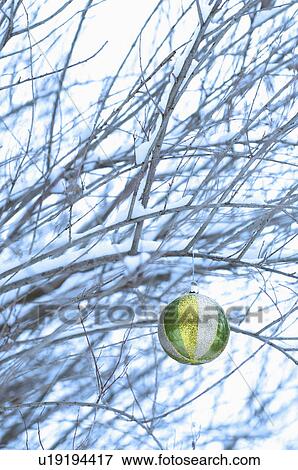 One Christmas ornament hanging in tree View Large Photo Image Stock Photo - One Christmas ornament hanging in tree. Fotosearch