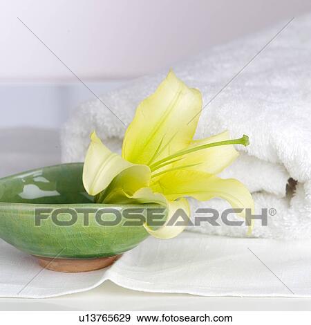 Orchid in a vase View Large Photo Image Stock Photo - Orchid in a vase. Fotosearch