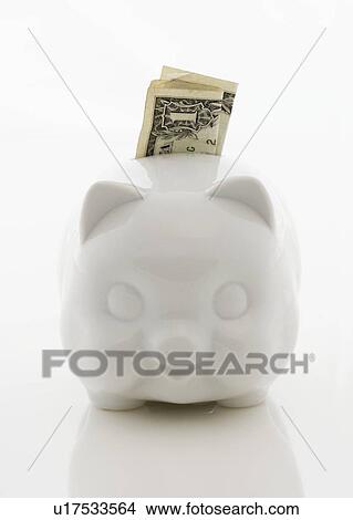Piggy bank with dollar bill View Large Photo Image Picture - Piggy bank with dollar bill. Fotosearch