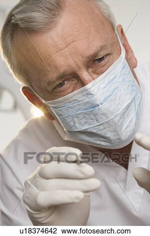 Portrait of a dentist View Large Photo Image Stock Image - Portrait of a dentist. Fotosearch