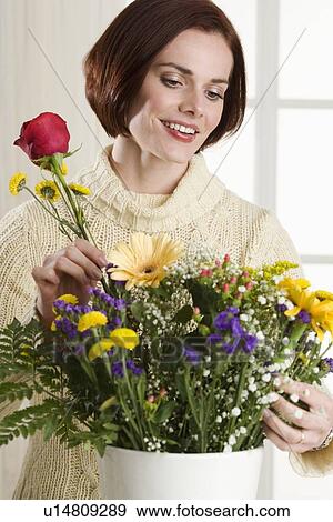 Portrait of woman arranging flowers View Large Photo Image Stock Photo - Portrait of woman arranging flowers. Fotosearch