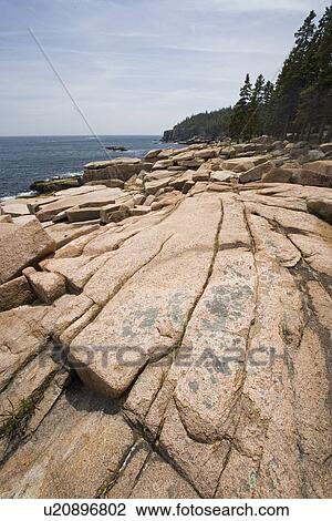 Rocky coast near Otter Cliffs Acadia Maine View Large Photo Image Stock Image - Rocky coast near Otter Cliffs Acadia Maine. Fotosearch