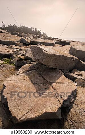 Rocky coast of Maine View Large Photo Image Stock Image - Rocky coast of Maine. Fotosearch