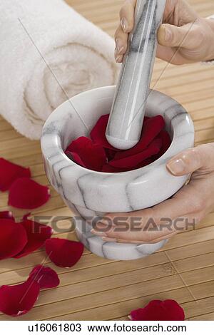 Stock Image - Rose petals in pestle and mortar. Fotosearch