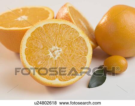 Several halved oranges with kumquat View Large Photo Image Stock Photo - Several halved oranges with kumquat. Fotosearch