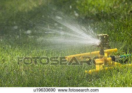 Stock Image - Sprinkler on a green lawn. Fotosearch