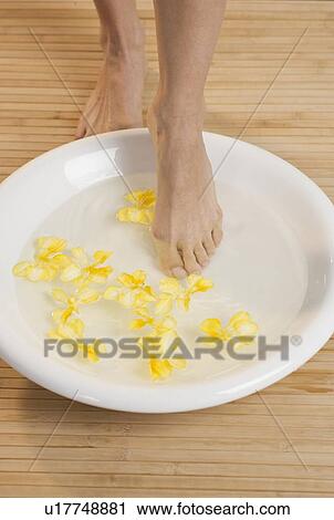 Stepping into footbath with flowers View Large Photo Image Stock Image - Stepping into footbath with flowers. Fotosearch