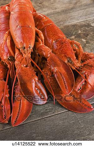 Stock Image - Still life of a lobster. Fotosearch