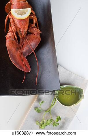 Still life of a lobster View Large Photo Image Stock Photo - Still life of a lobster. Fotosearch