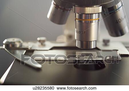 Still life of a microscope View Large Photo Image Stock Image - Still life of a microscope. Fotosearch