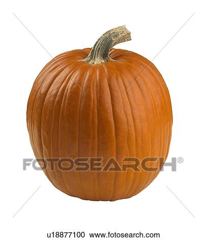 Stock Image - Still life of a pumpkin. Fotosearch