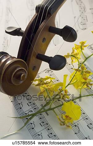 Picture - Still life of a violin. Fotosearch