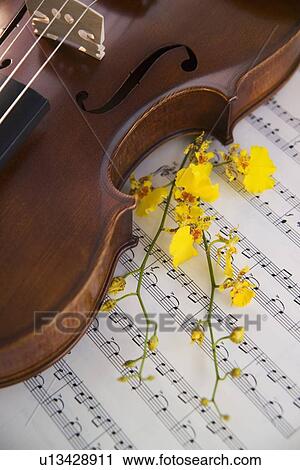 Stock Image - Still life of a violin. Fotosearch