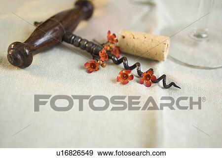 Still life of a wooden-handled corkscrew View Large Photo Image Stock Photo - Still life of a wooden-handled corkscrew. Fotosearch