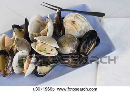 Still life of clams View Large Photo Image Stock Photography - Still life of clams. Fotosearch