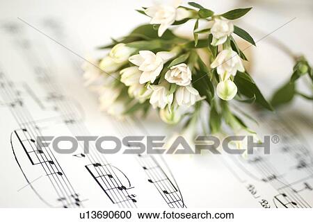 Stock Image - Still life of flowers and sheet music. Fotosearch