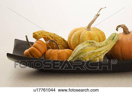 Still life of gourds View Large Photo Image Picture - Still life of gourds. Fotosearch