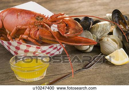 Stock Image - Still life of lobster and clams. Fotosearch