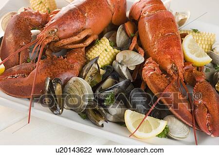 Stock Image - Still life of lobster and clams. Fotosearch