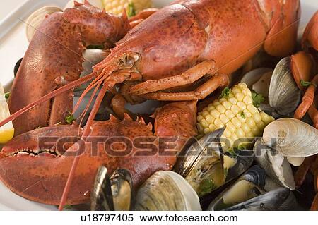 Stock Photography - Still life of lobster and clams. Fotosearch