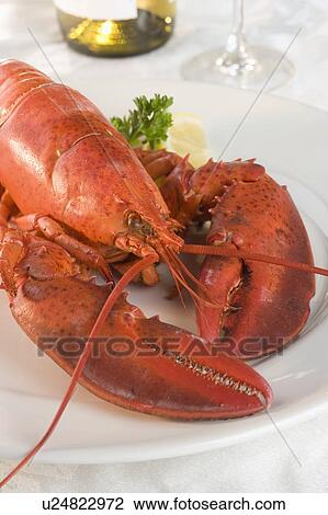 Stock Image - Still life of lobster and wine. Fotosearch