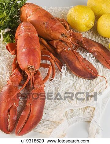 Still life of lobsters and lemons View Large Photo Image Stock Photo - Still life of lobsters and lemons. Fotosearch