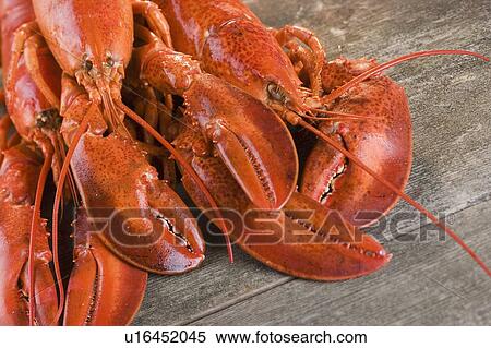Stock Photography - Still life of lobsters. Fotosearch